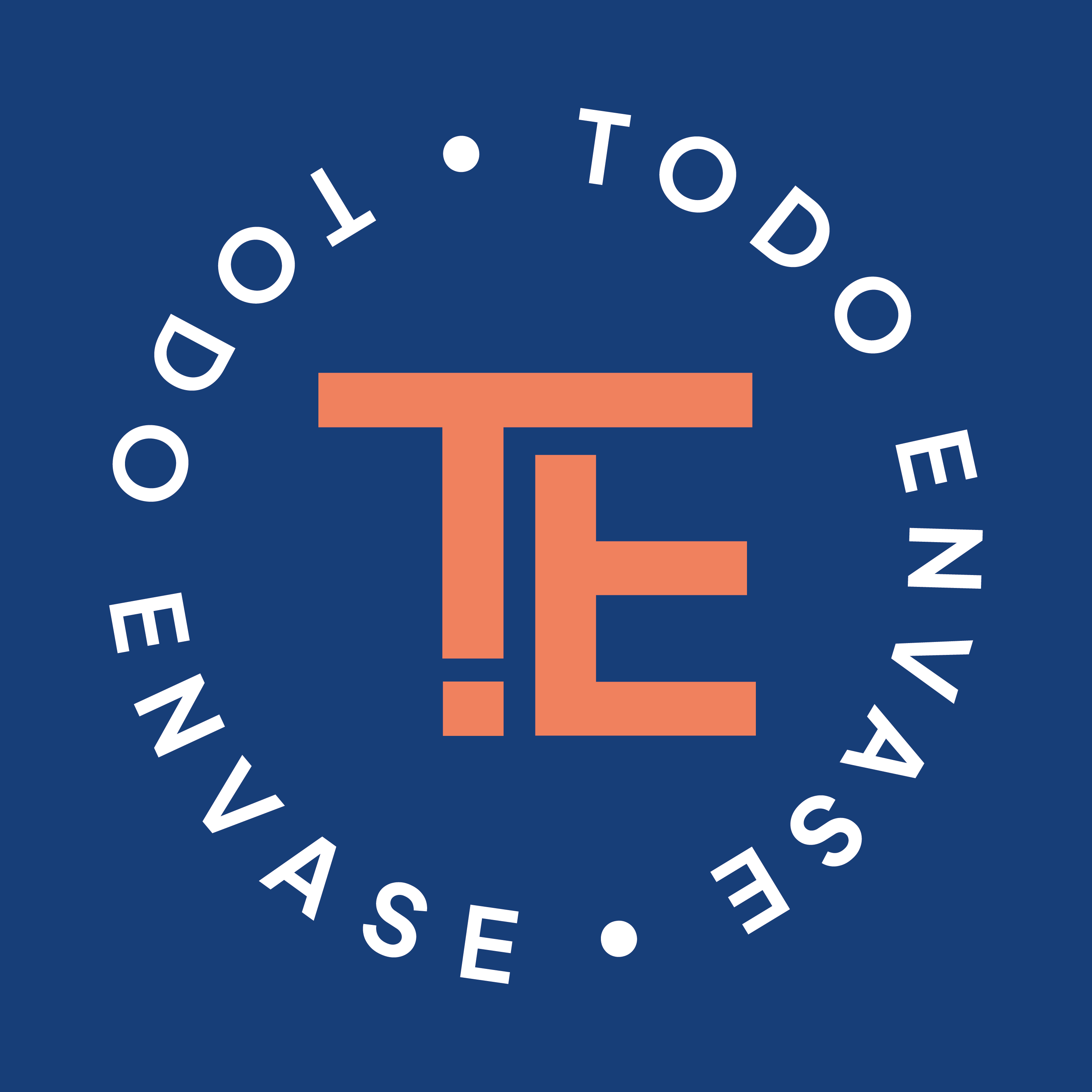 Logo Todo Envase